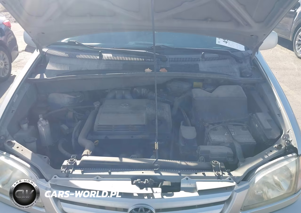 2003 Toyota Sienna Le VIN:4T3ZF13C63U539126 - 10