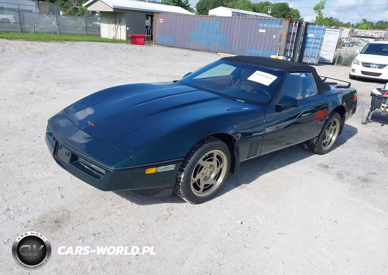 1990 Chevrolet Corvette VIN:1G1YY3381L5101594 - 2