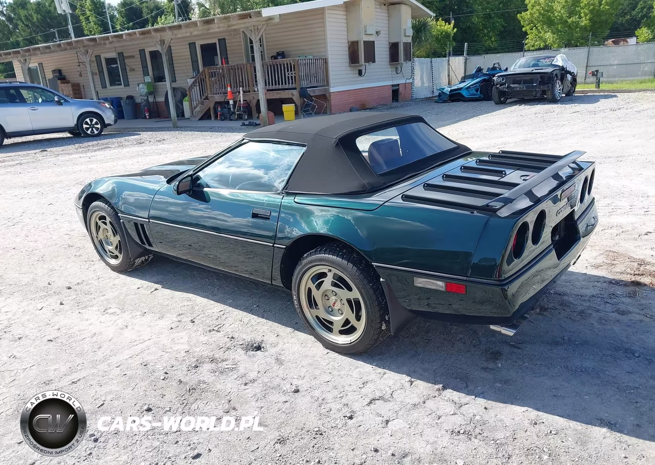 1990 Chevrolet Corvette VIN:1G1YY3381L5101594 - 3