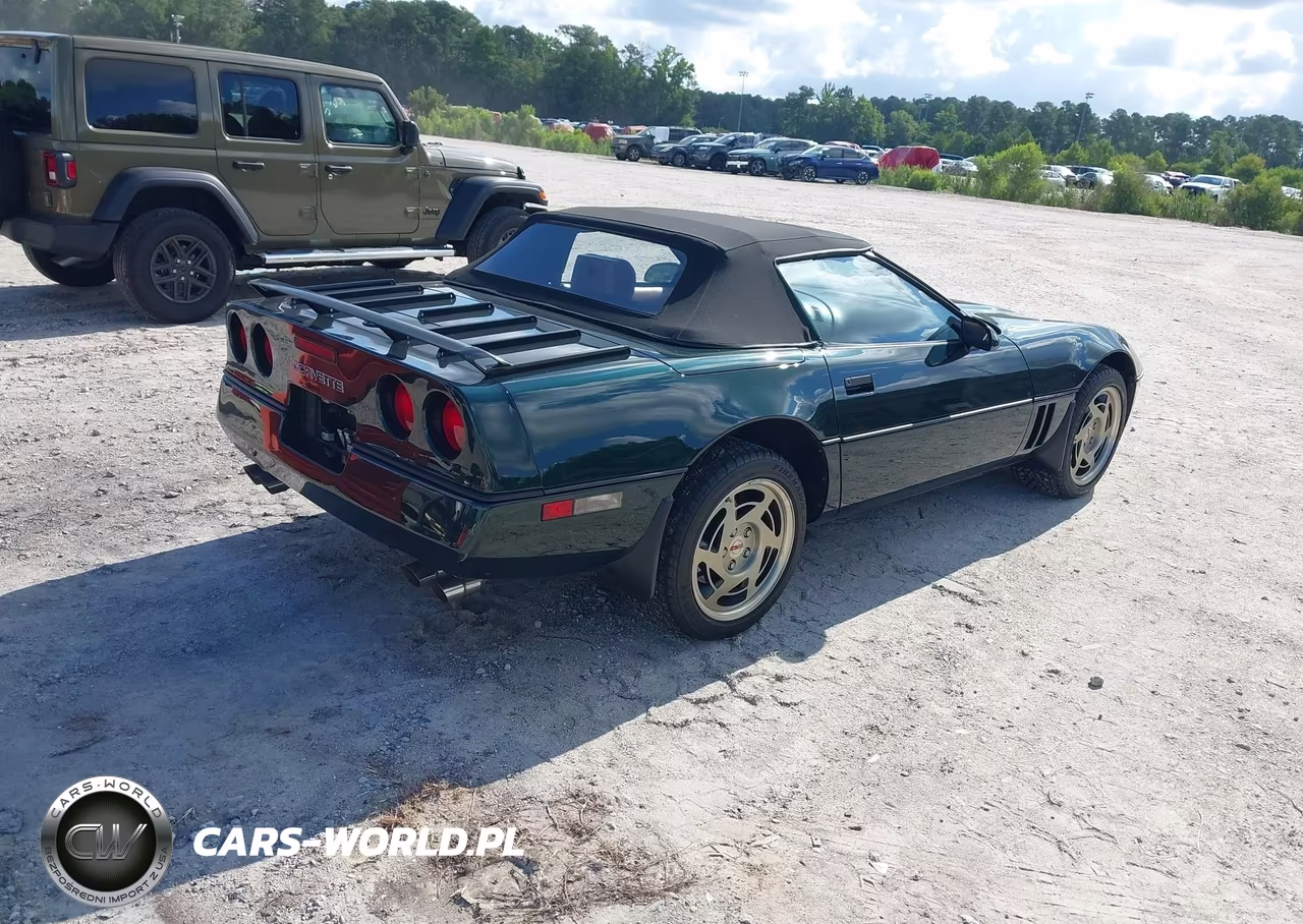 1990 Chevrolet Corvette VIN:1G1YY3381L5101594 - 4
