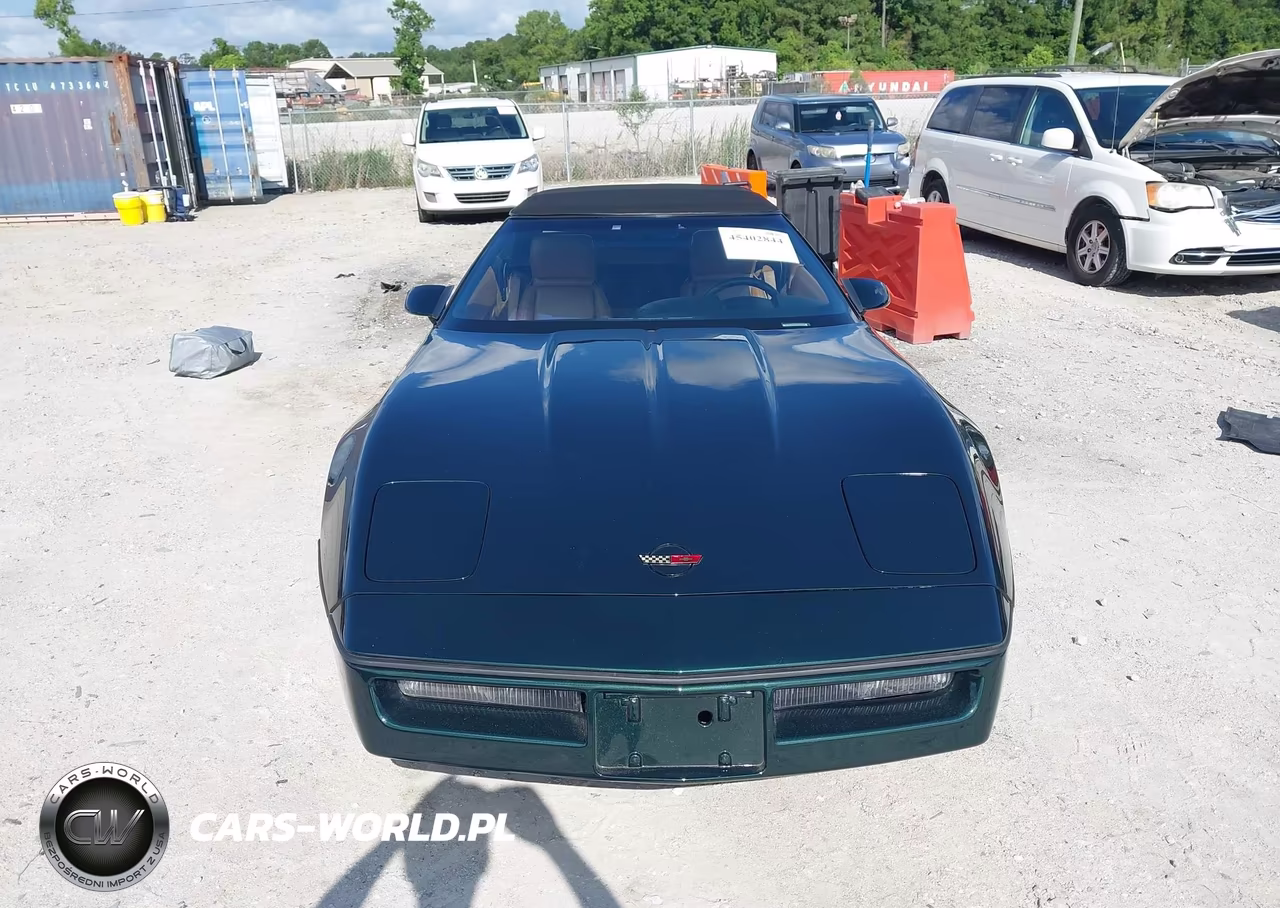 1990 Chevrolet Corvette VIN:1G1YY3381L5101594 - 6