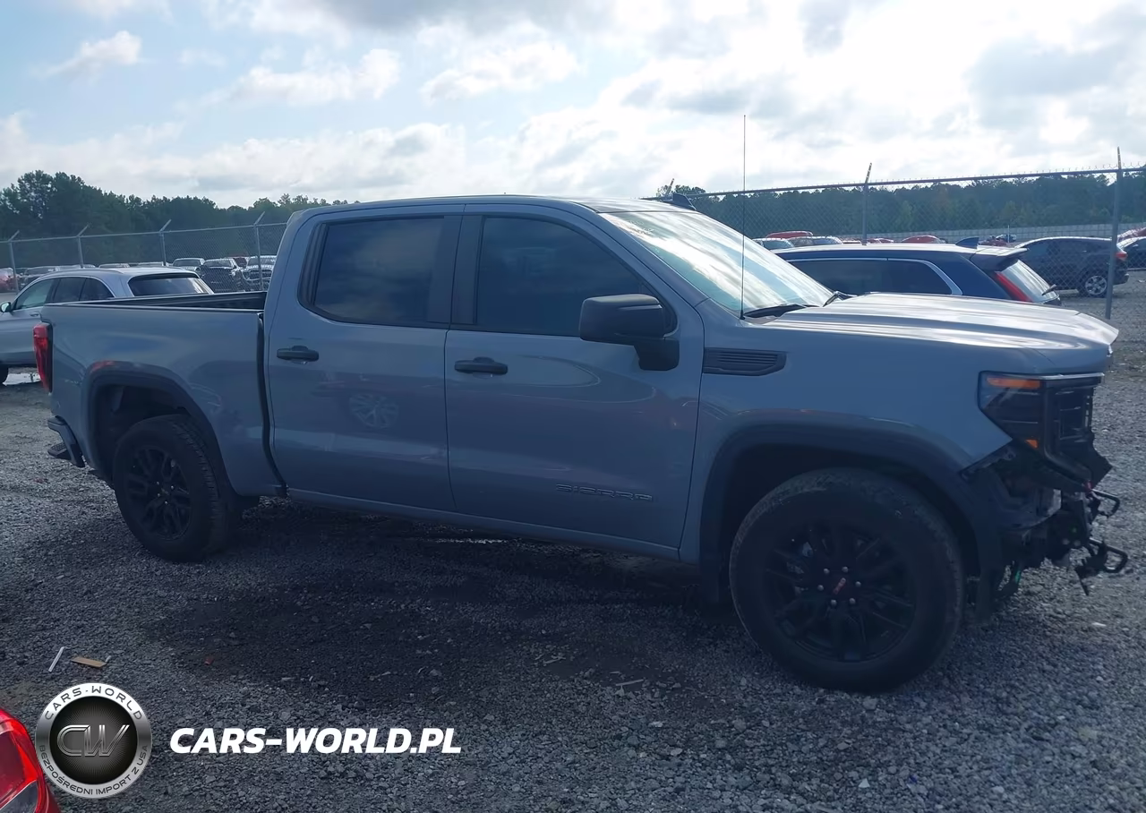 2024 GMC Sierra 1500 2Wd Short Box Pro VIN:1GTPHAEK2RZ309162 - 13