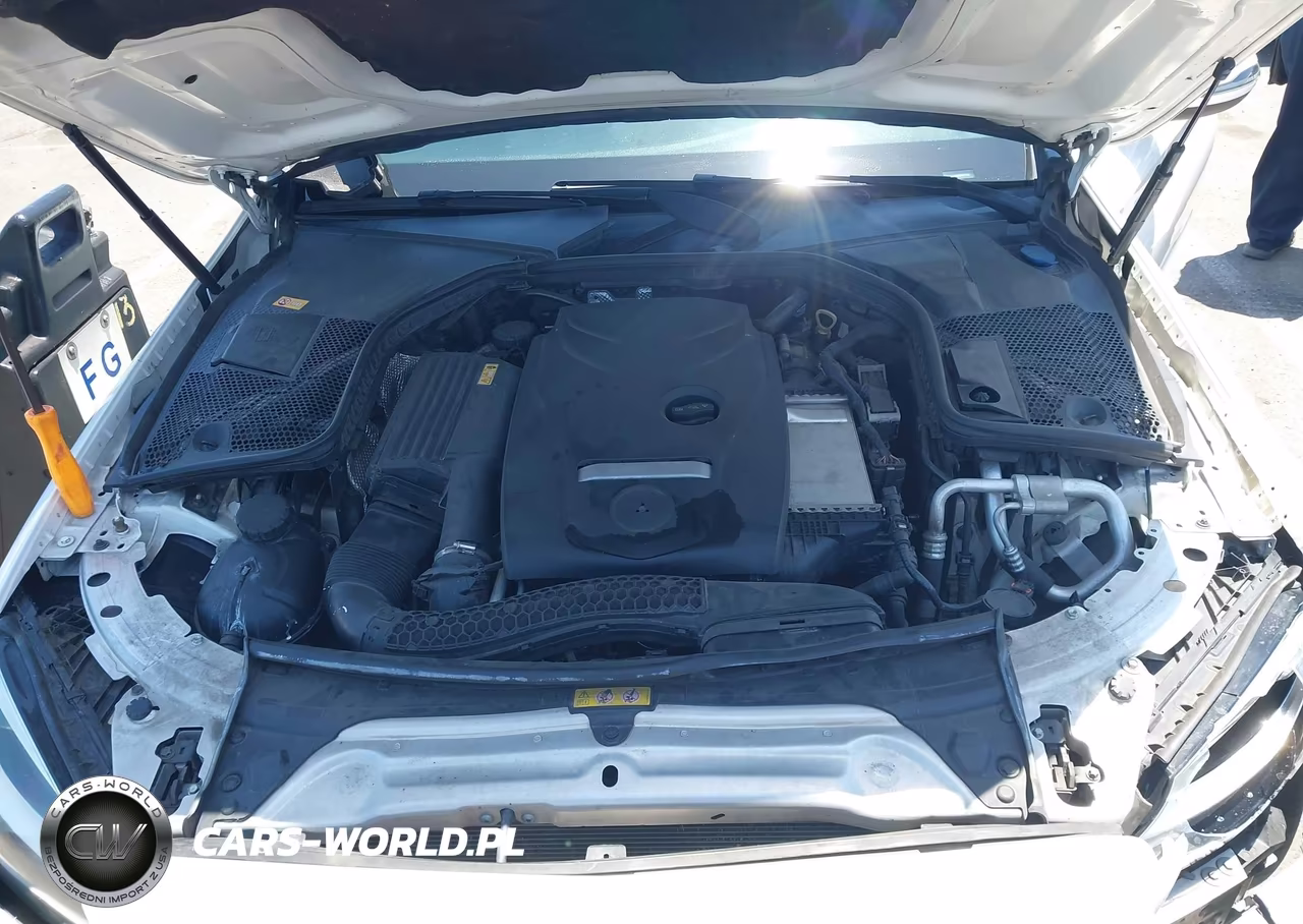 MERCEDES-BENZ C 300 VIN:55SWF4JB6GU102140 - 10