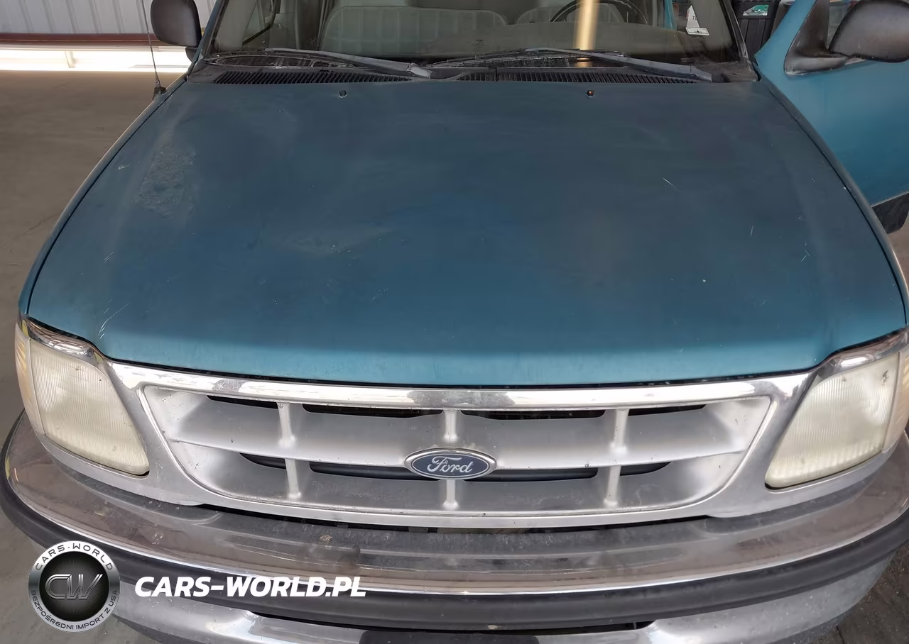 1998 Ford F-150 Standard-Xl-Xlt VIN:1FTZX1724WKA83008 - 6