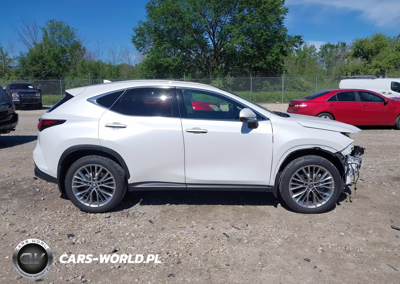 2025 Lexus Nx 350 Luxury VIN:2T2HGCEZ1SC082686 - 14