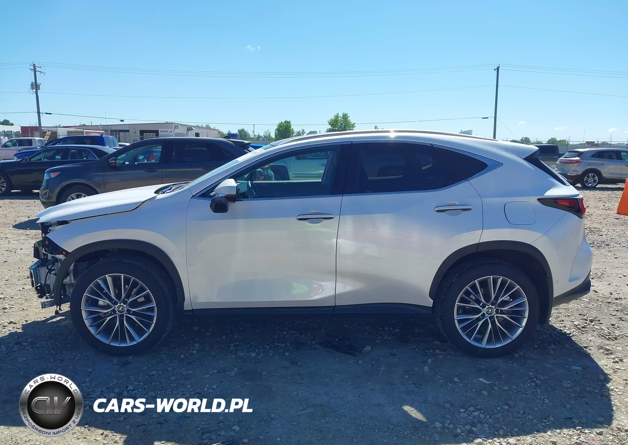 2025 Lexus Nx 350 Luxury VIN:2T2HGCEZ1SC082686 - 15