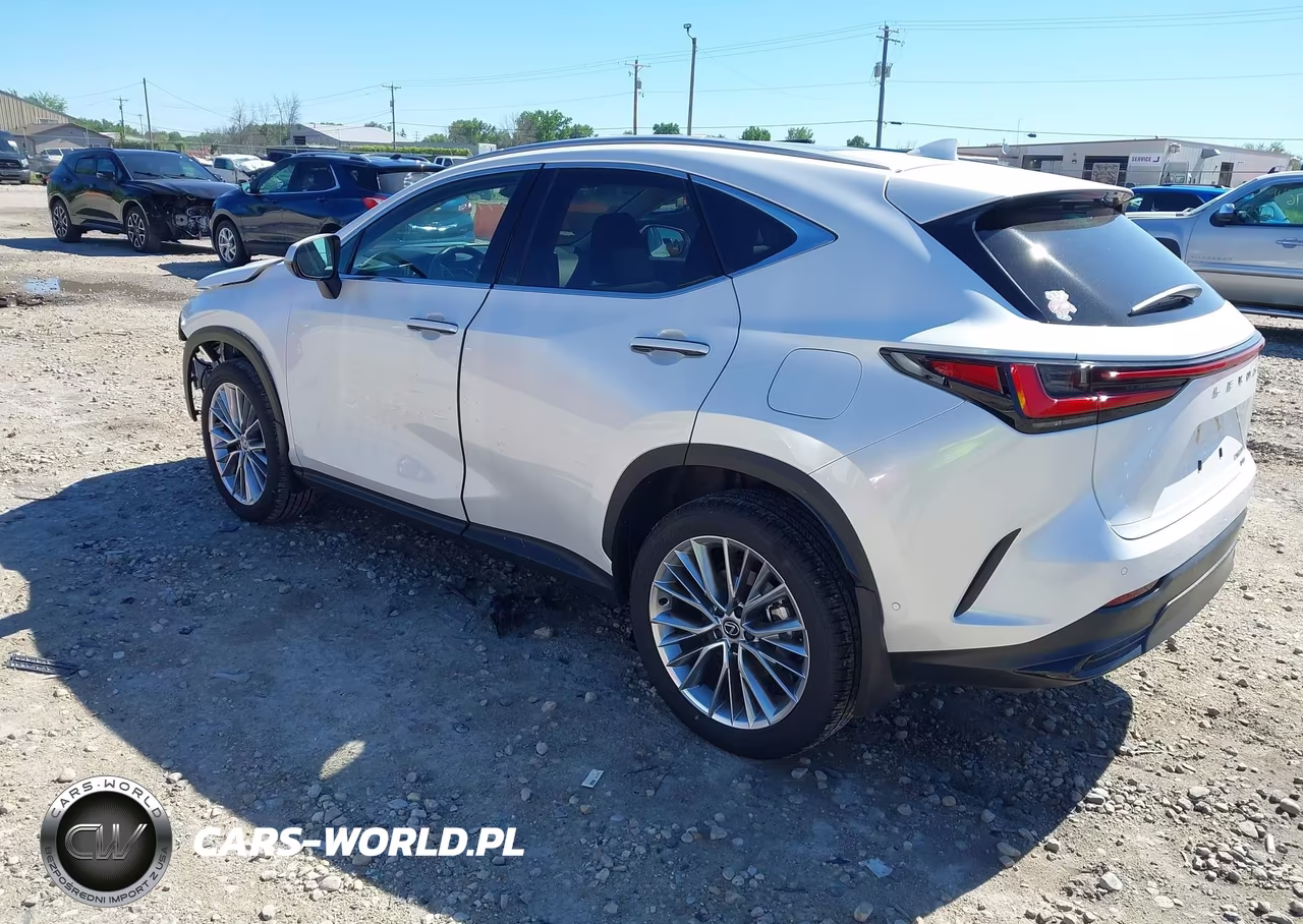 2025 Lexus Nx 350 Luxury VIN:2T2HGCEZ1SC082686 - 3