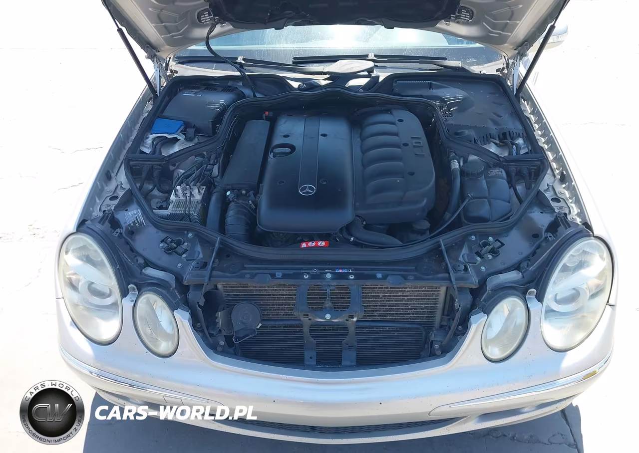 2005 Mercedes-Benz E 320 Cdi VIN:WDBUF26J45A723393 - 10