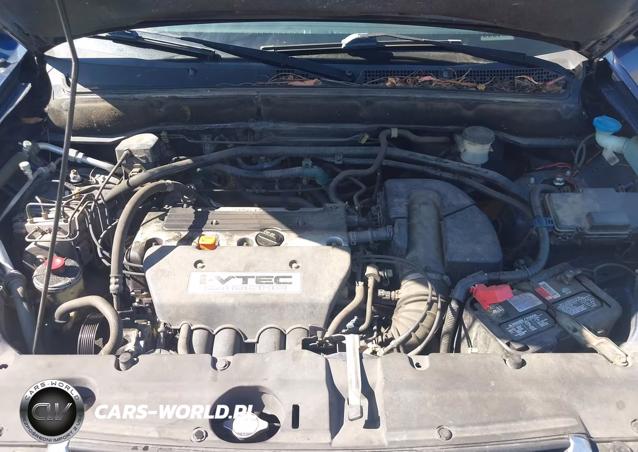 2004 Honda Cr-V Ex VIN:JHLRD78864C020954 - 10