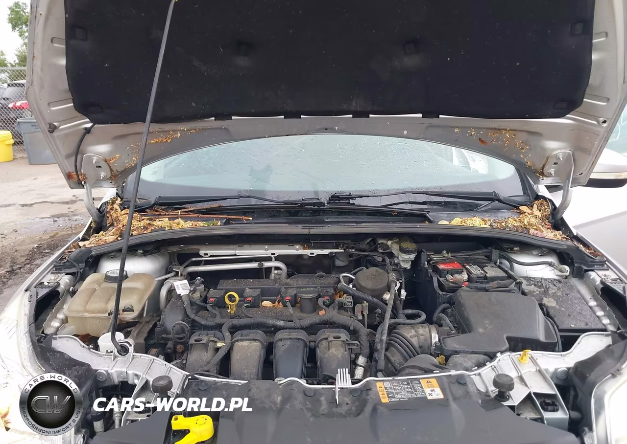 2014 Ford Focus Se VIN:1FADP3F26EL283006 - 10