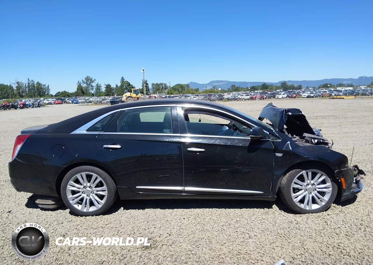 2019 Cadillac Xts Luxury VIN:2G61M5S33K9125745 - 13