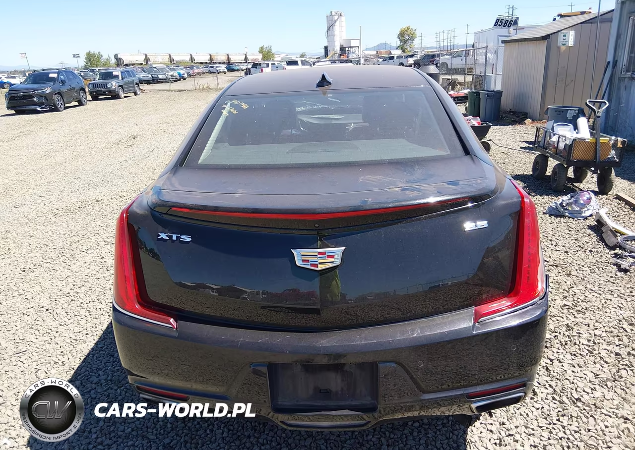 2019 Cadillac Xts Luxury VIN:2G61M5S33K9125745 - 16