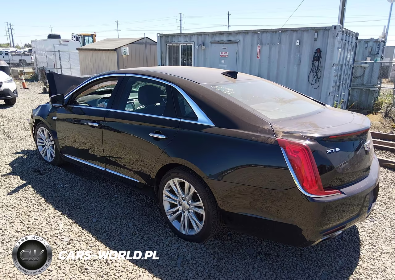 2019 Cadillac Xts Luxury VIN:2G61M5S33K9125745 - 3