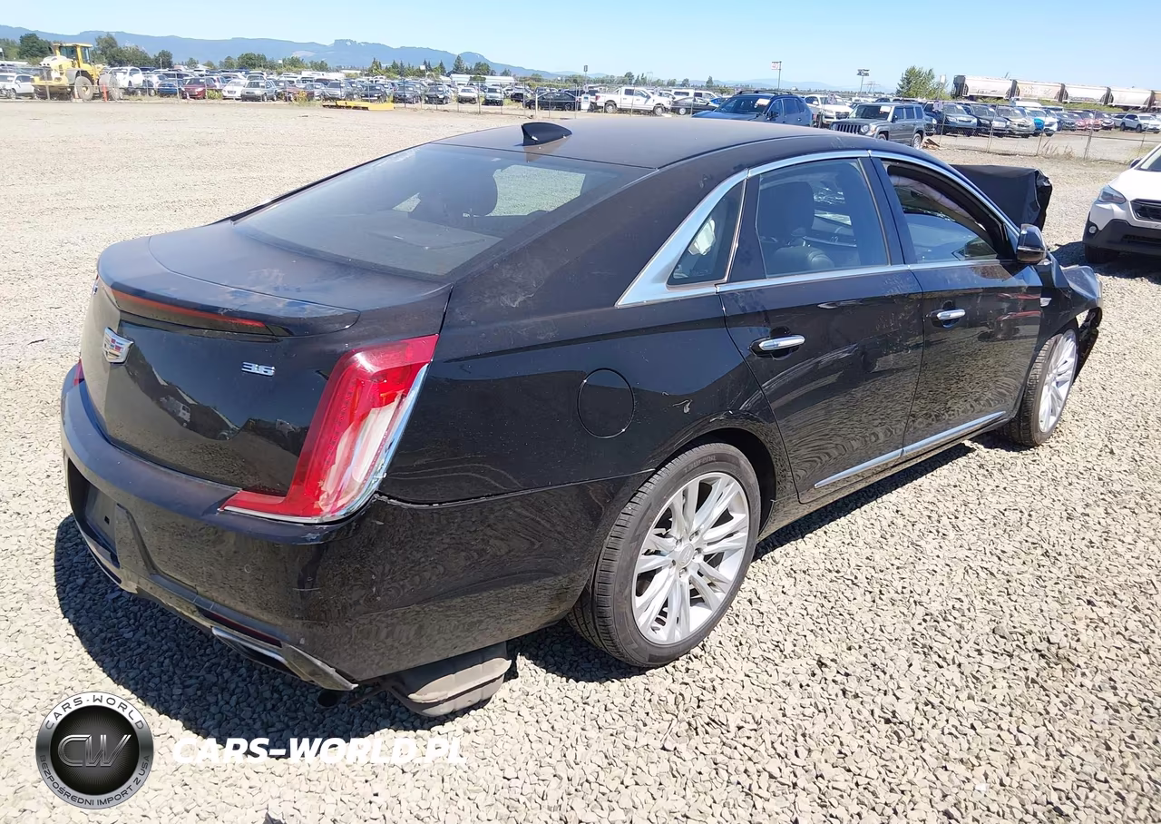 2019 Cadillac Xts Luxury VIN:2G61M5S33K9125745 - 4