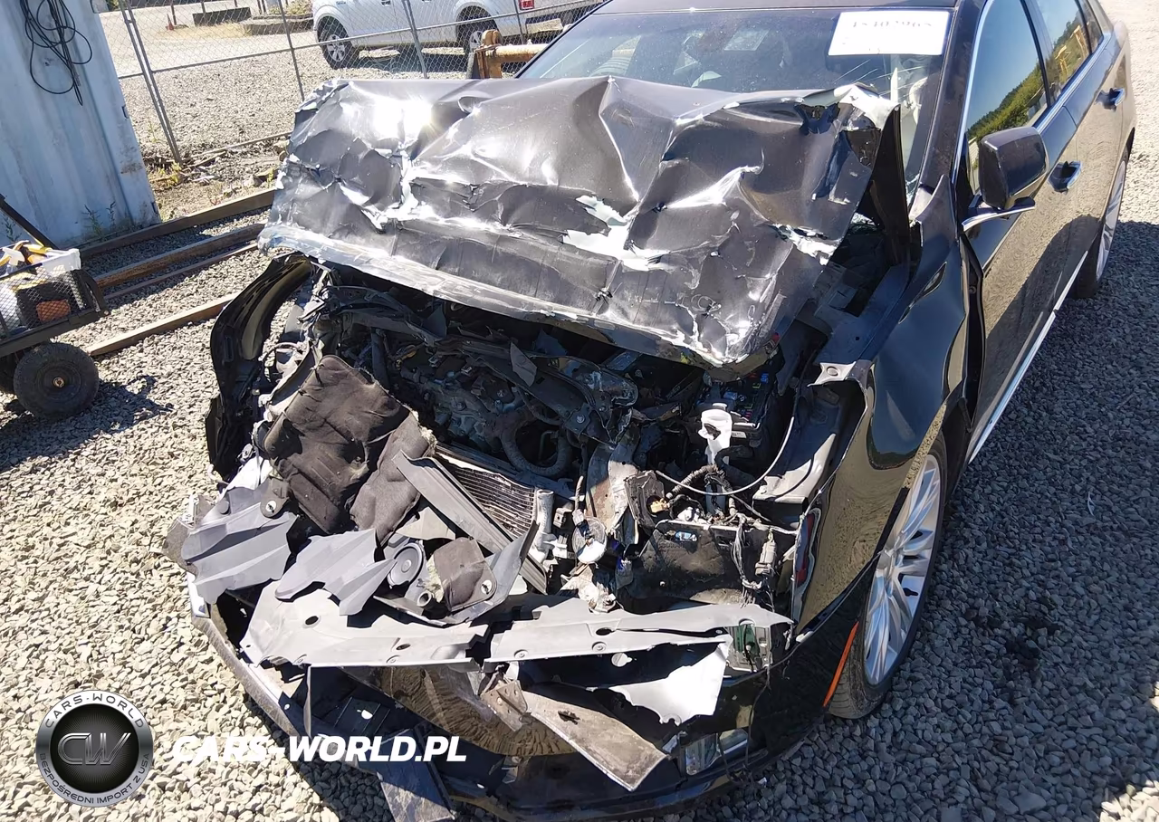 2019 Cadillac Xts Luxury VIN:2G61M5S33K9125745 - 6