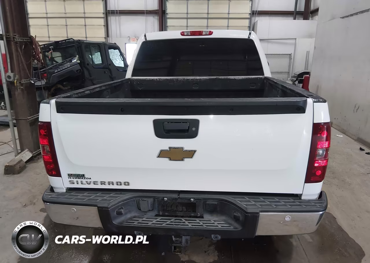2010 Chevrolet Silverado 1500 Lt VIN:3GCRKSE3XAG165941 - 17