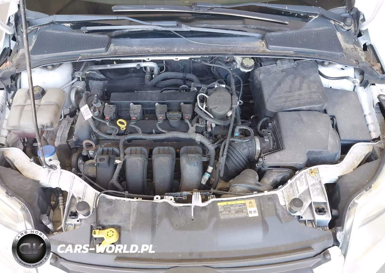 2014 Ford Focus Se VIN:1FADP3K21EL189217 - 10
