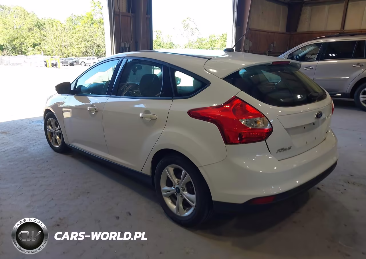 2014 Ford Focus Se VIN:1FADP3K21EL189217 - 3