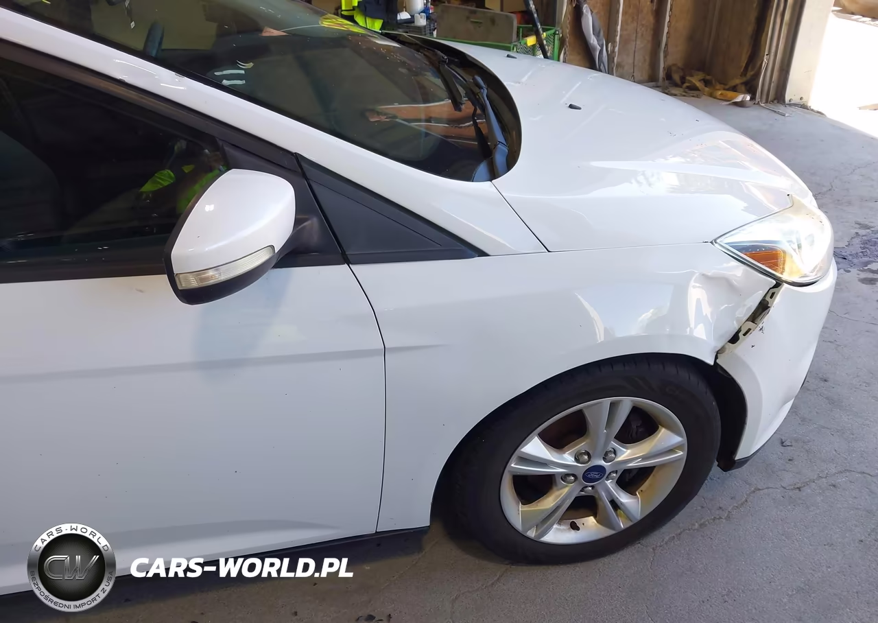 2014 Ford Focus Se VIN:1FADP3K21EL189217 - 6