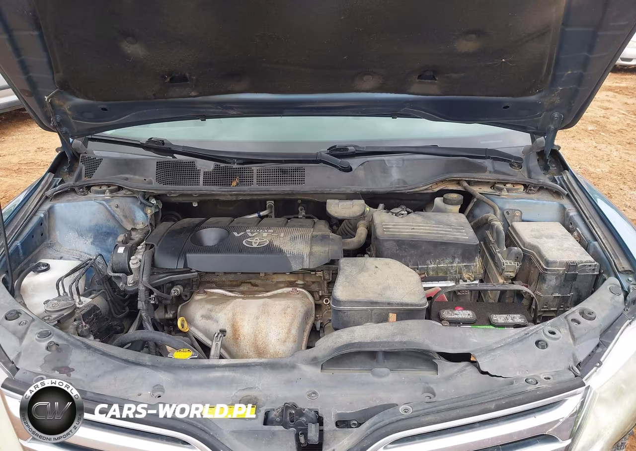 2009 Toyota Venza VIN:4T3ZE11A39U001397 - 10