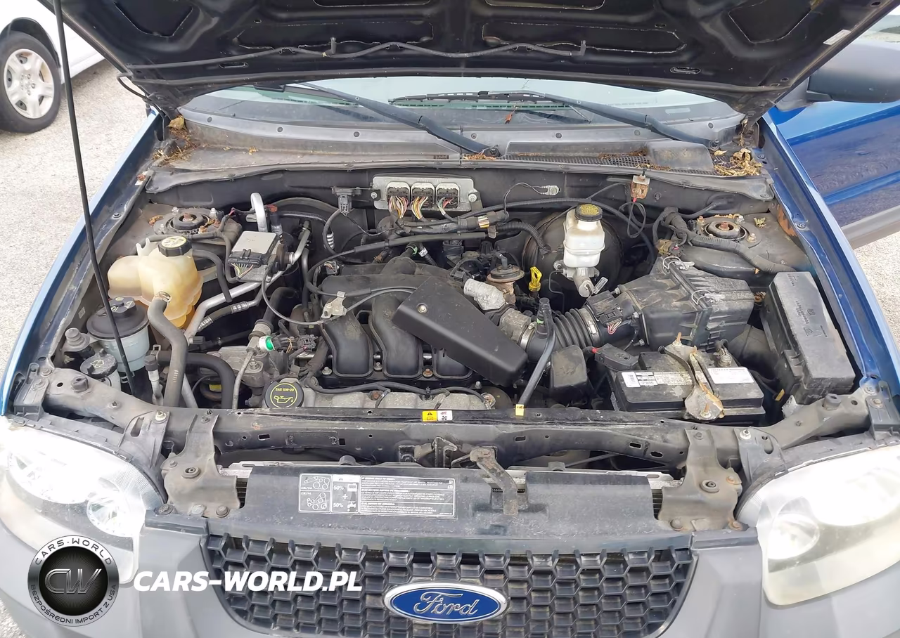 2007 Ford Escape Xlt-Xlt Sport VIN:1FMYU03177KA67555 - 10