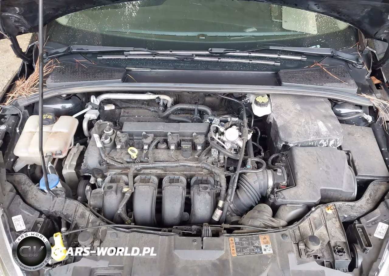 2018 Ford Focus Se VIN:1FADP3F29JL298528 - 10