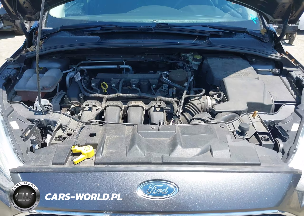 2015 Ford Focus Se VIN:1FADP3F26FL241324 - 10
