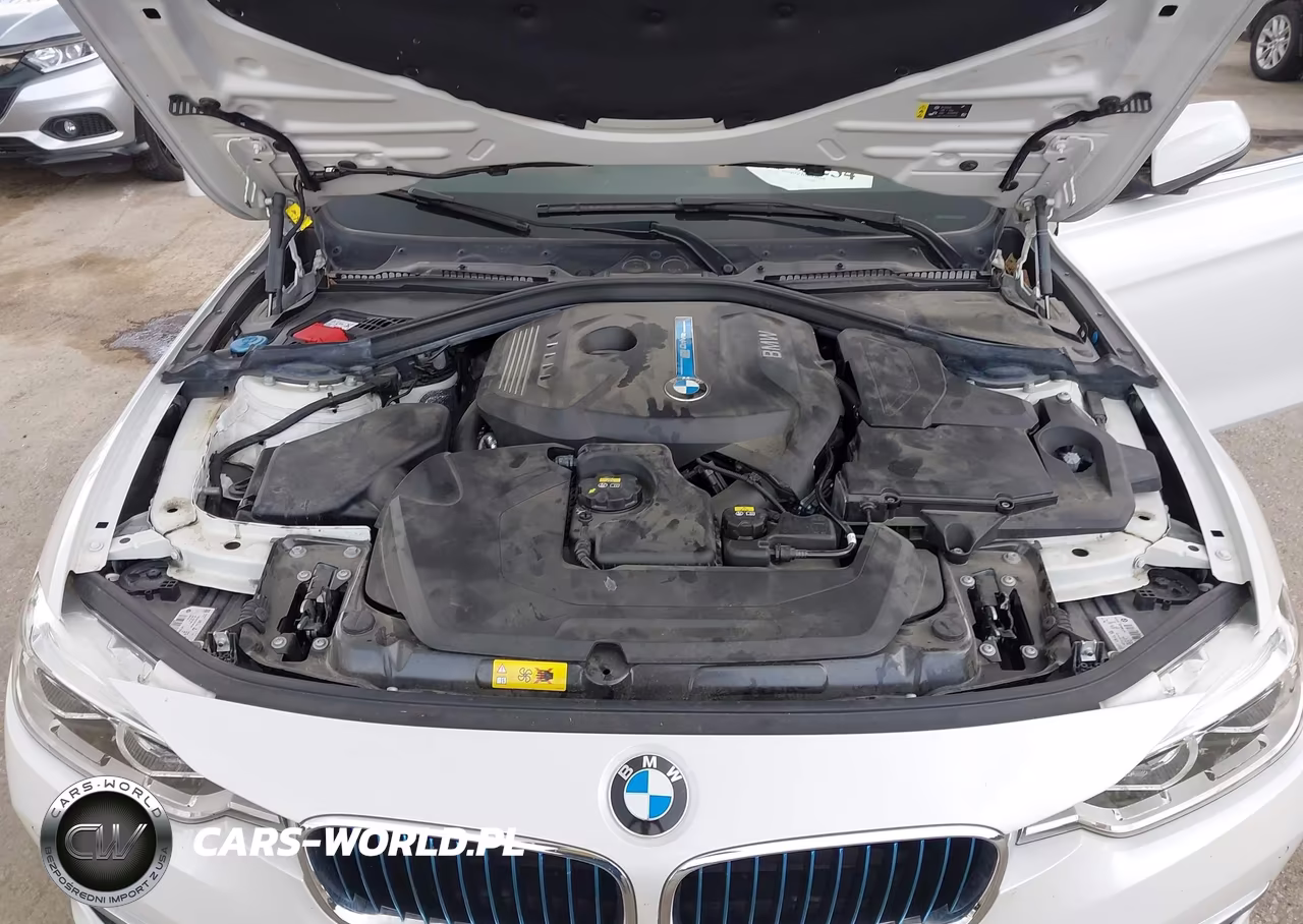 2017 BMW 330E Iperformance VIN:WBA8E1C31HA158933 - 10