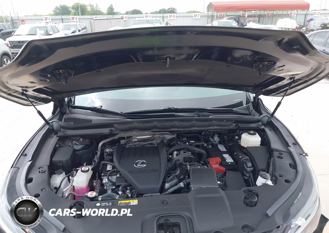 2024 Lexus Rx 350 VIN:2T2BAMBA5RC034789 - 10