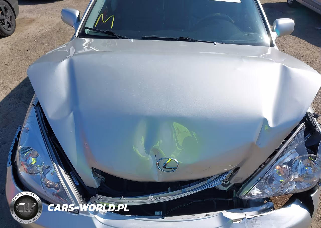 2002 Lexus Es 300 VIN:JTHBF30G520018226 - 10