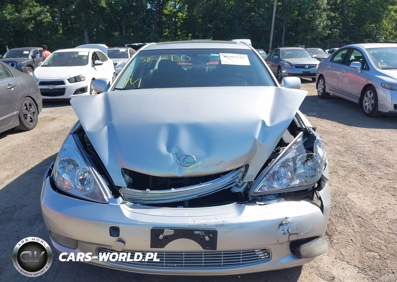 2002 Lexus Es 300 VIN:JTHBF30G520018226 - 12
