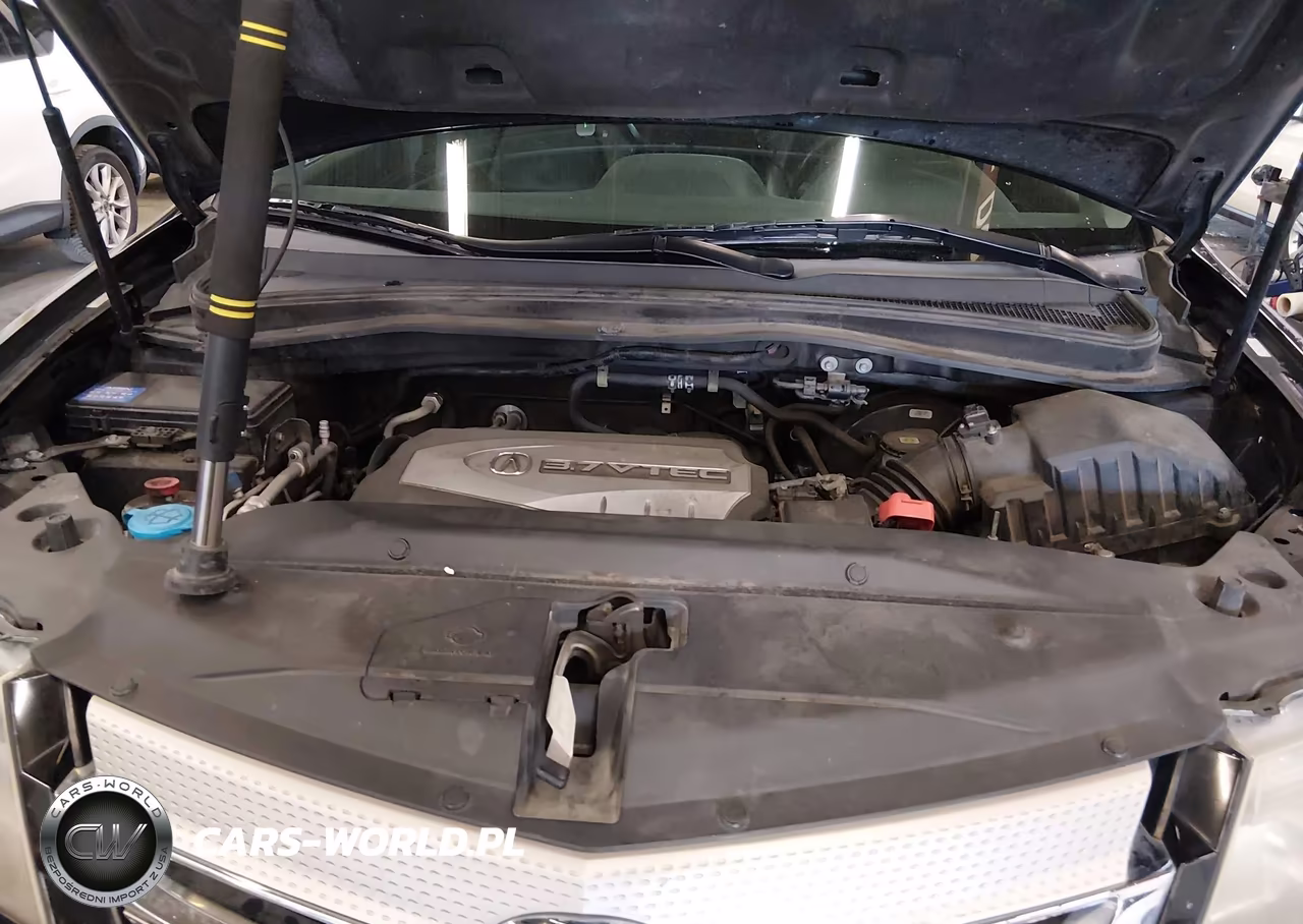 2009 Acura Mdx Sport Package VIN:2HNYD28739H528204 - 10