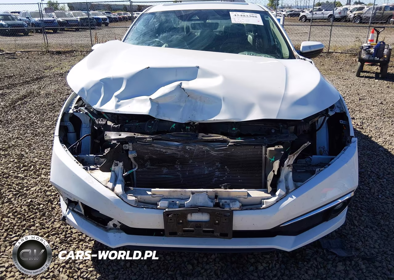 2020 Honda Civic Ex-L VIN:19XFC1F74LE216490 - 6