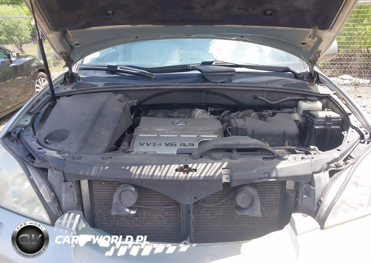 2004 Lexus Rx 330 VIN:2T2HA31UX4C028009 - 10