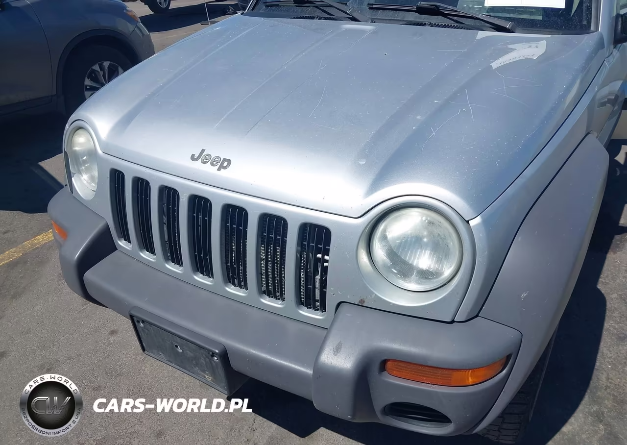 2002 Jeep Liberty Sport VIN:1J4GL48K42W345805 - 6