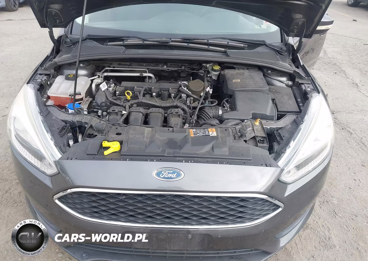 2015 Ford Focus Se VIN:1FADP3F20FL294665 - 10