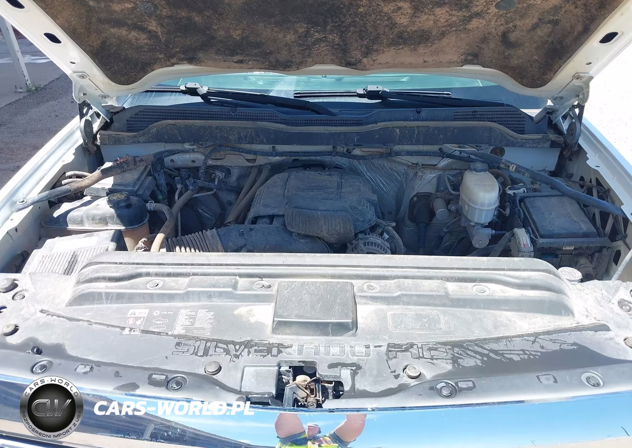 2018 Chevrolet Silverado 2500Hd Work Truck VIN:1GC1KUEG5JF232880 - 10