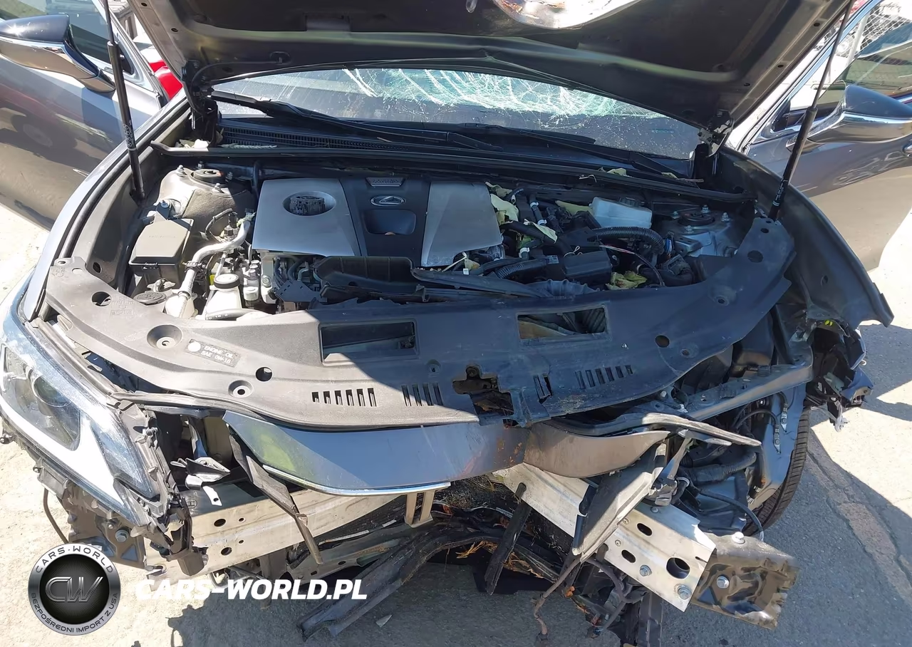 2021 Lexus Es 300H VIN:58ACA1C1XMU005181 - 10