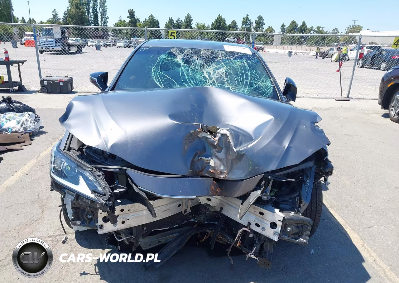 2021 Lexus Es 300H VIN:58ACA1C1XMU005181 - 13