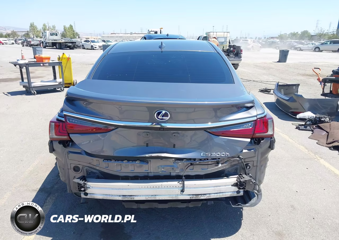 2021 Lexus Es 300H VIN:58ACA1C1XMU005181 - 17