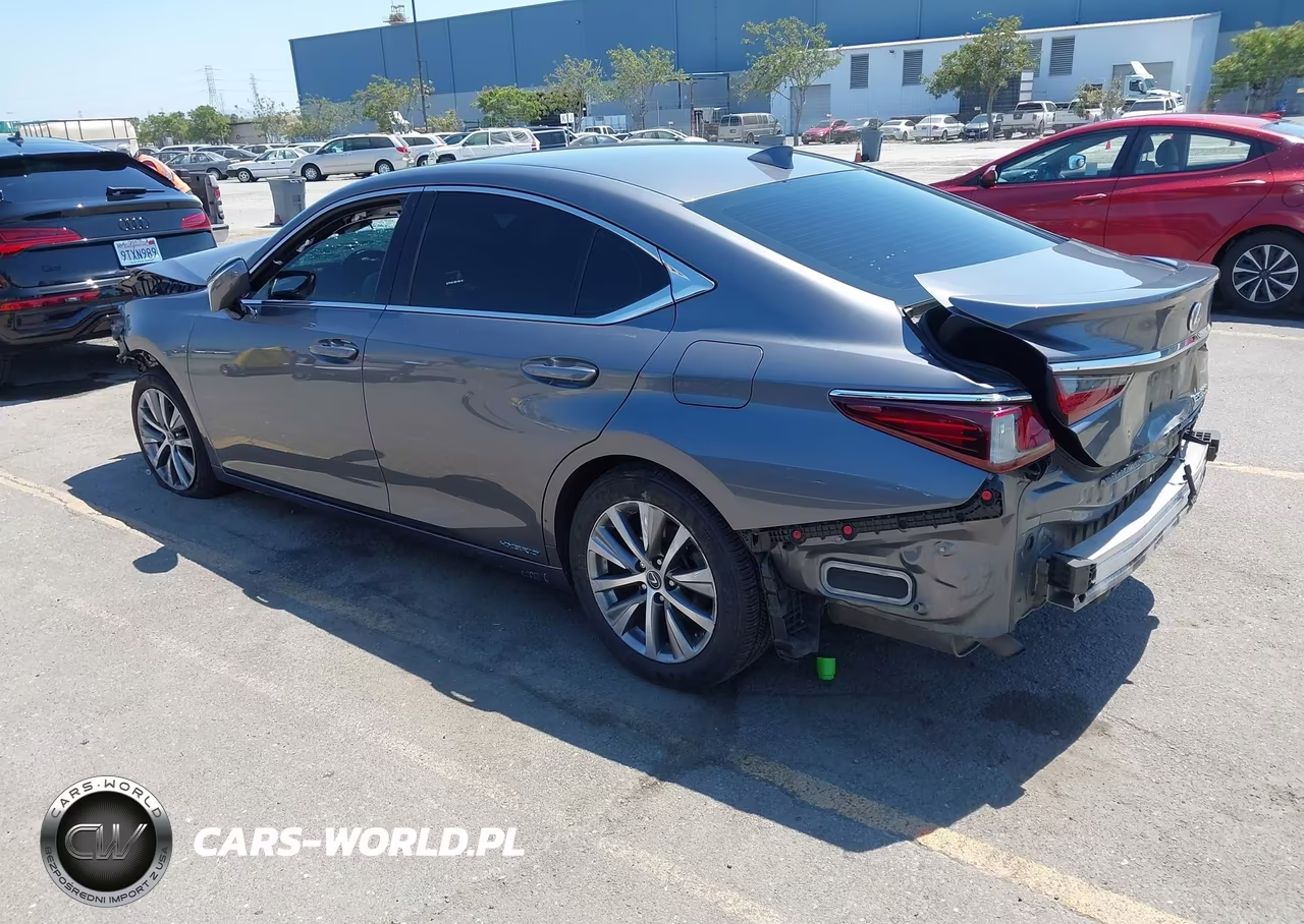 2021 Lexus Es 300H VIN:58ACA1C1XMU005181 - 3