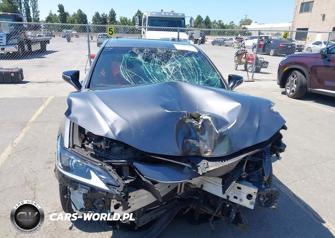 2021 Lexus Es 300H VIN:58ACA1C1XMU005181 - 6