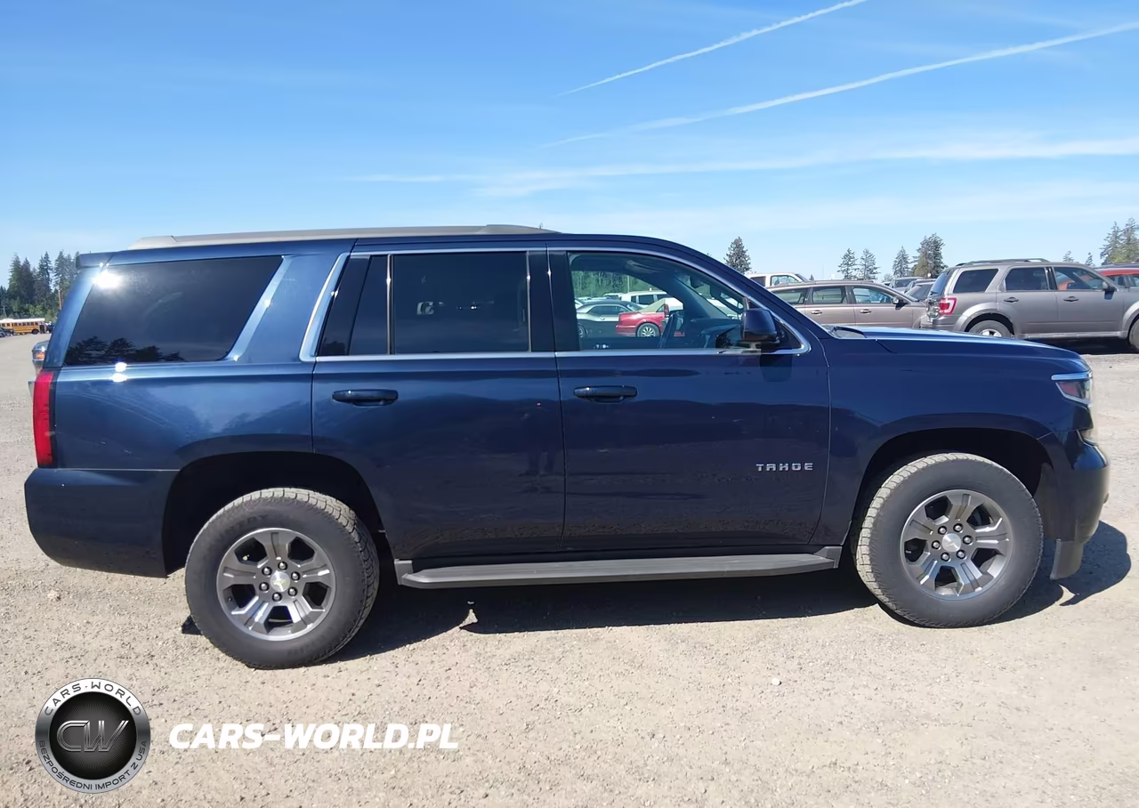 2018 Chevrolet Tahoe Ls VIN:1GNSKAEC1JR337261 - 13