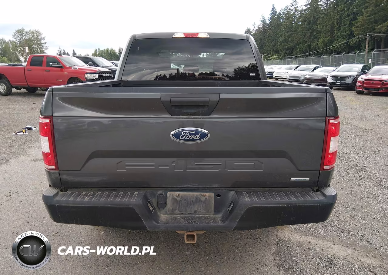 2020 Ford F-150 Xl VIN:1FTEW1EP7LKE13333 - 16