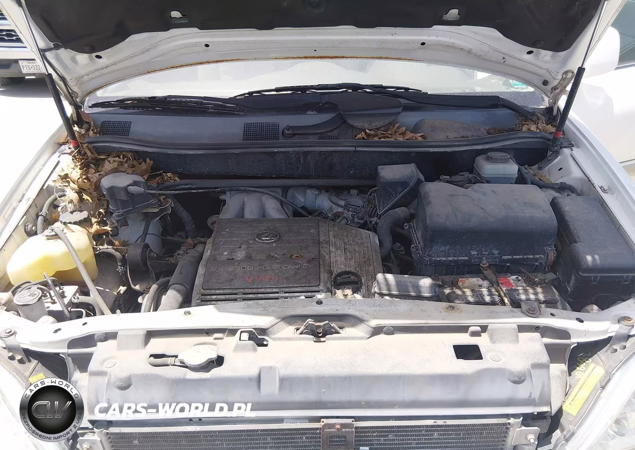 2002 Lexus Rx 300 VIN:JTJGF10U420129994 - 10
