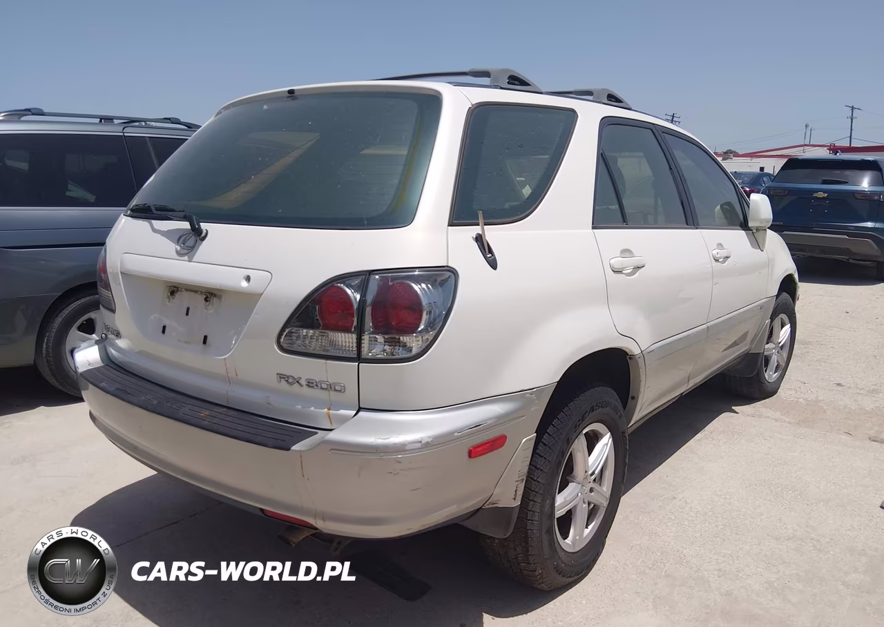 2002 Lexus Rx 300 VIN:JTJGF10U420129994 - 4