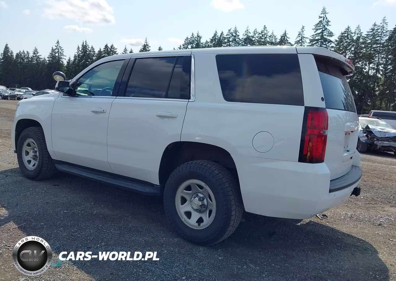 2020 Chevrolet Tahoe 4Wd Commercial Fleet VIN:1GNSKFEC7LR140935 - 3