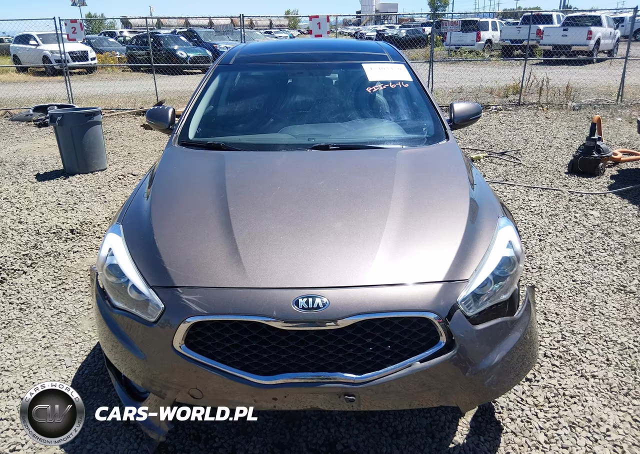 2015 Kia Cadenza Premium VIN:KNALN4D70F5171272 - 13