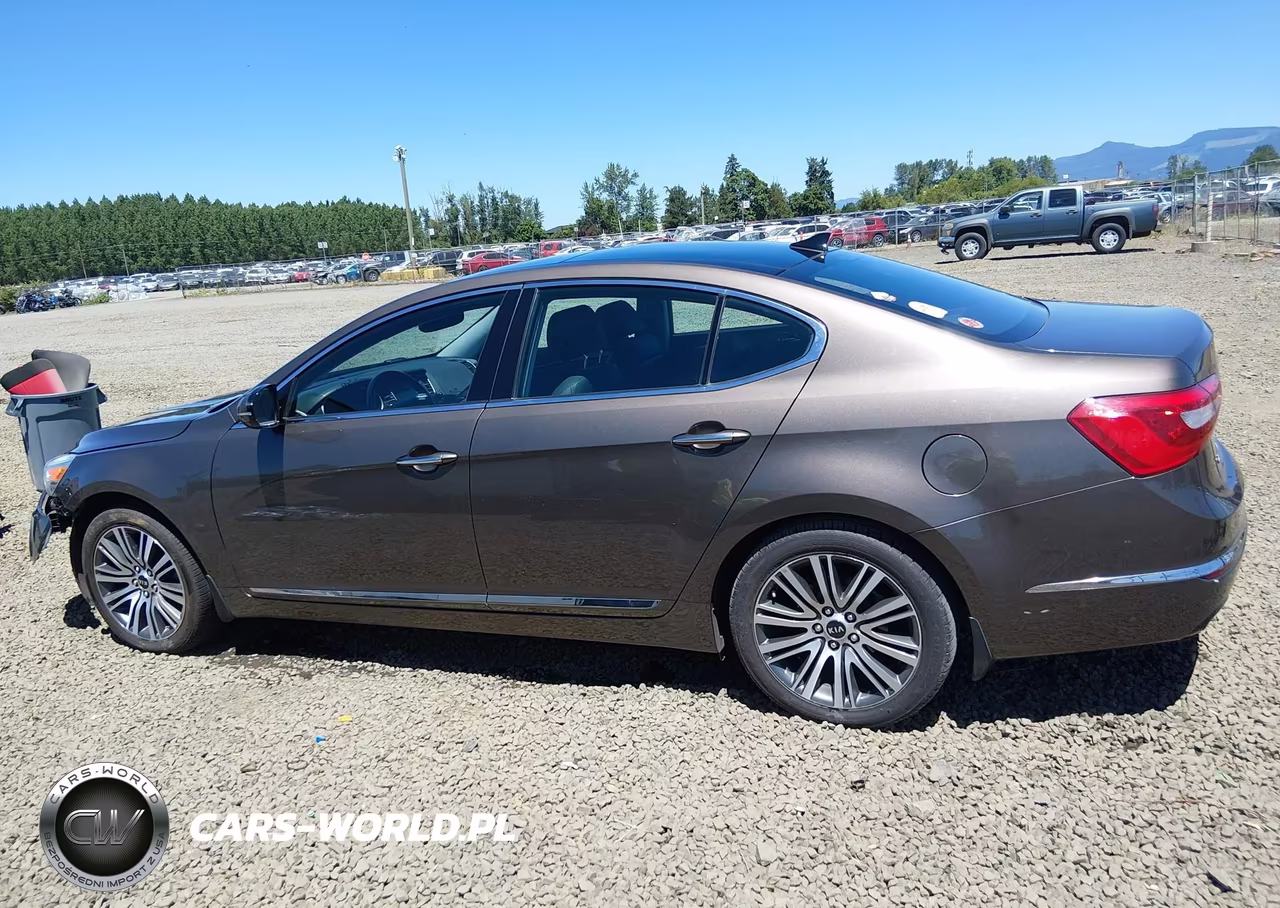 2015 Kia Cadenza Premium VIN:KNALN4D70F5171272 - 15