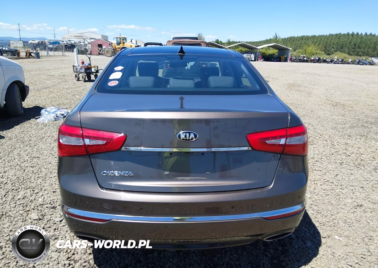 2015 Kia Cadenza Premium VIN:KNALN4D70F5171272 - 17